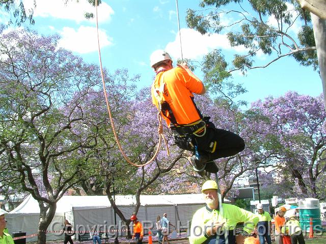 Tree Climbing 1